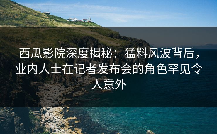 西瓜影院深度揭秘：猛料风波背后，业内人士在记者发布会的角色罕见令人意外