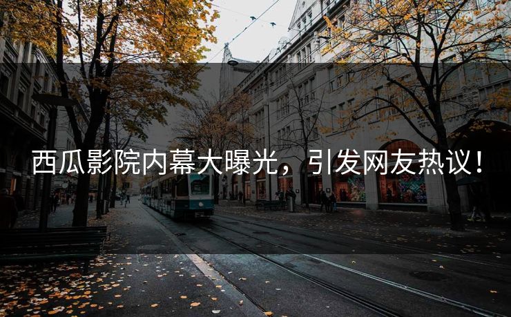 西瓜影院内幕大曝光，引发网友热议！